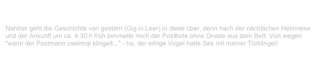 Matrix, Bochum                                                                                   ✫
Donnerstag, 15. März 2001
Nahtlos geht die Geschichte von gestern (Gig in Leer) in diese über, denn nach der nächtlichen Heimreise und der Ankunft um ca. 4:30 h früh bimmelte mich der Postbote ohne Gnade aus dem Bett. Von wegen "wenn der Postmann zweimal klingelt..." - ha, der eifrige Vogel hatte Sex mit meiner Türklingel!
Weiterlesen...