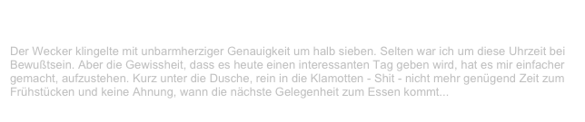 Zillo-Festival, Hildesheim                                                           ✫ ✫ ✫
Samstag, 14. August 1999
Der Wecker klingelte mit unbarmherziger Genauigkeit um halb sieben. Selten war ich um diese Uhrzeit bei Bewußtsein. Aber die Gewissheit, dass es heute einen interessanten Tag geben wird, hat es mir einfacher gemacht, aufzustehen. Kurz unter die Dusche, rein in die Klamotten - Shit - nicht mehr genügend Zeit zum Frühstücken und keine Ahnung, wann die nächste Gelegenheit zum Essen kommt...
Weiterlesen...